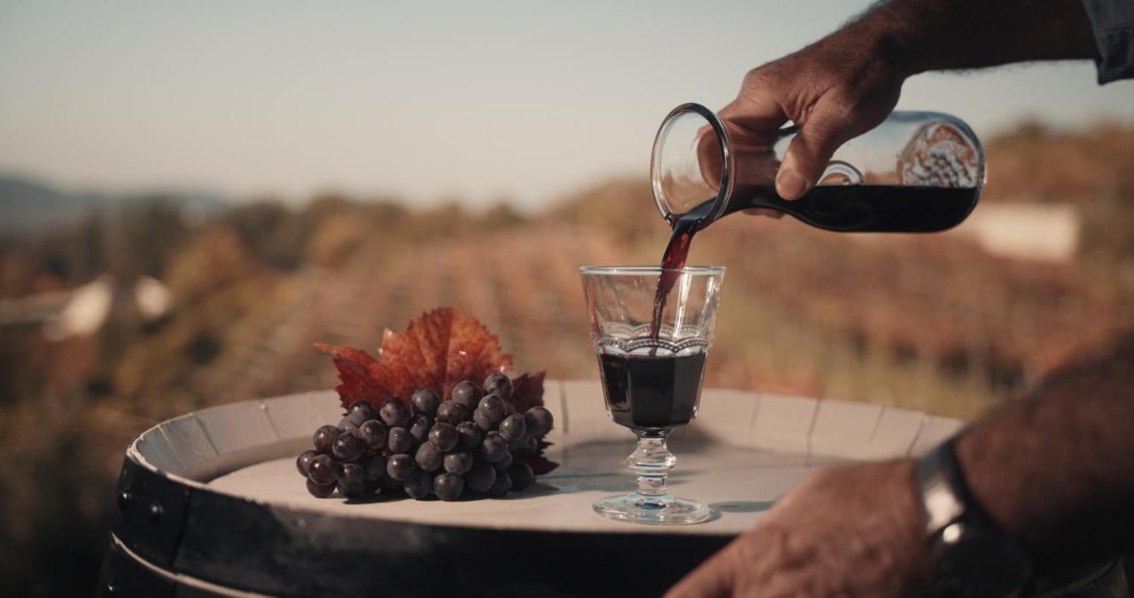 Hétvégi ház Skerlj Wine Estate *