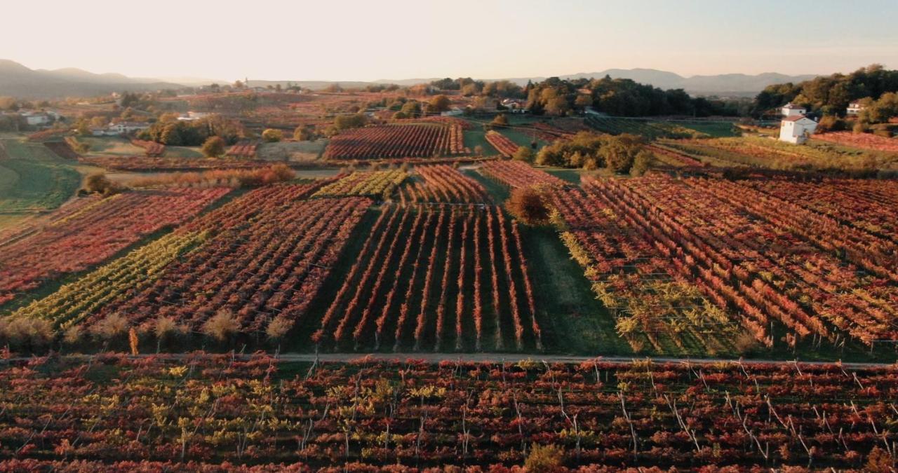 Skerlj Wine Estate Hétvégi ház *