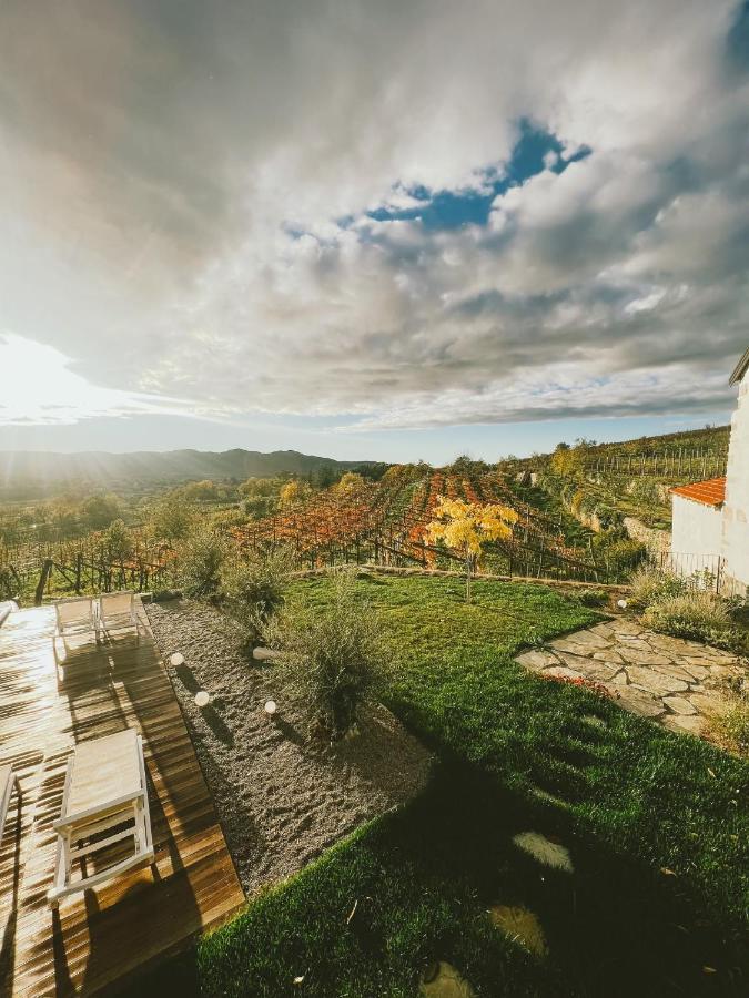 Skerlj Wine Estate *